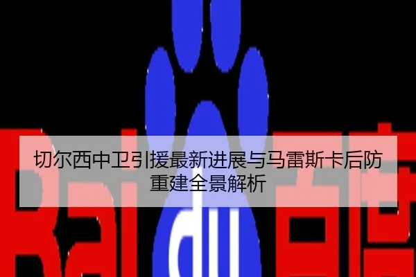 切尔西中卫引援最新进展与马雷斯卡后防重建全景解析