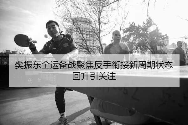 樊振东全运备战聚焦反手衔接新周期状态回升引关注
